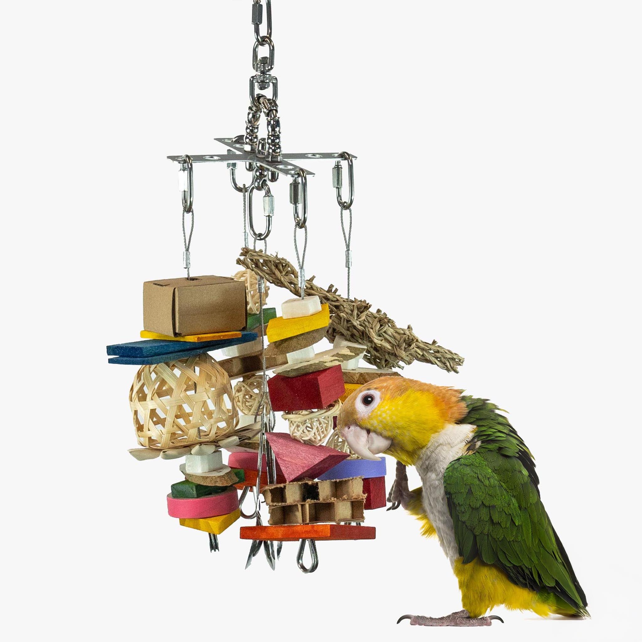 XCalibird - Small