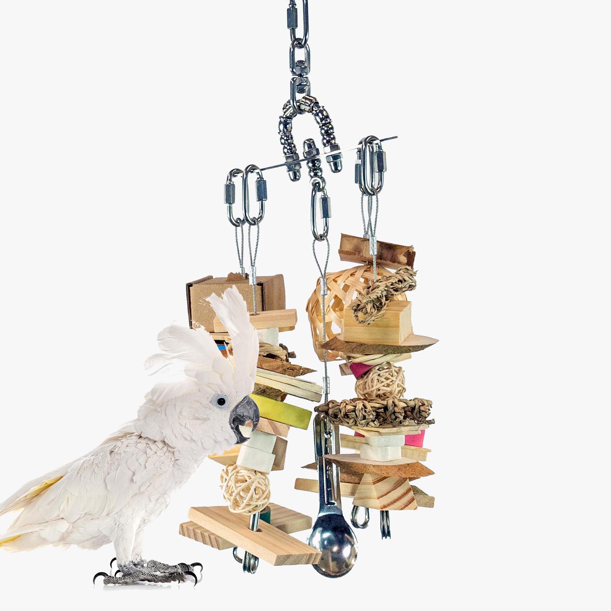 XCalibird - Small