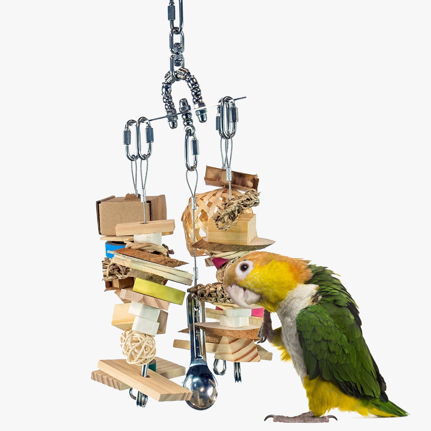 XCalibird - Small