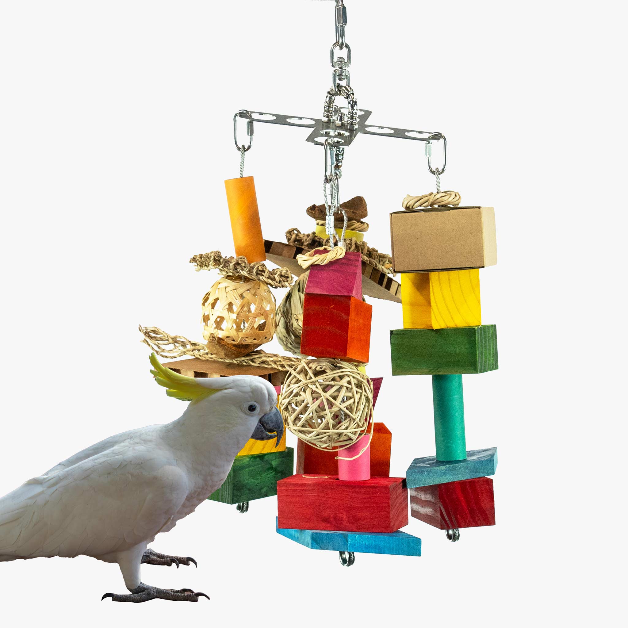 XCalibird - Large