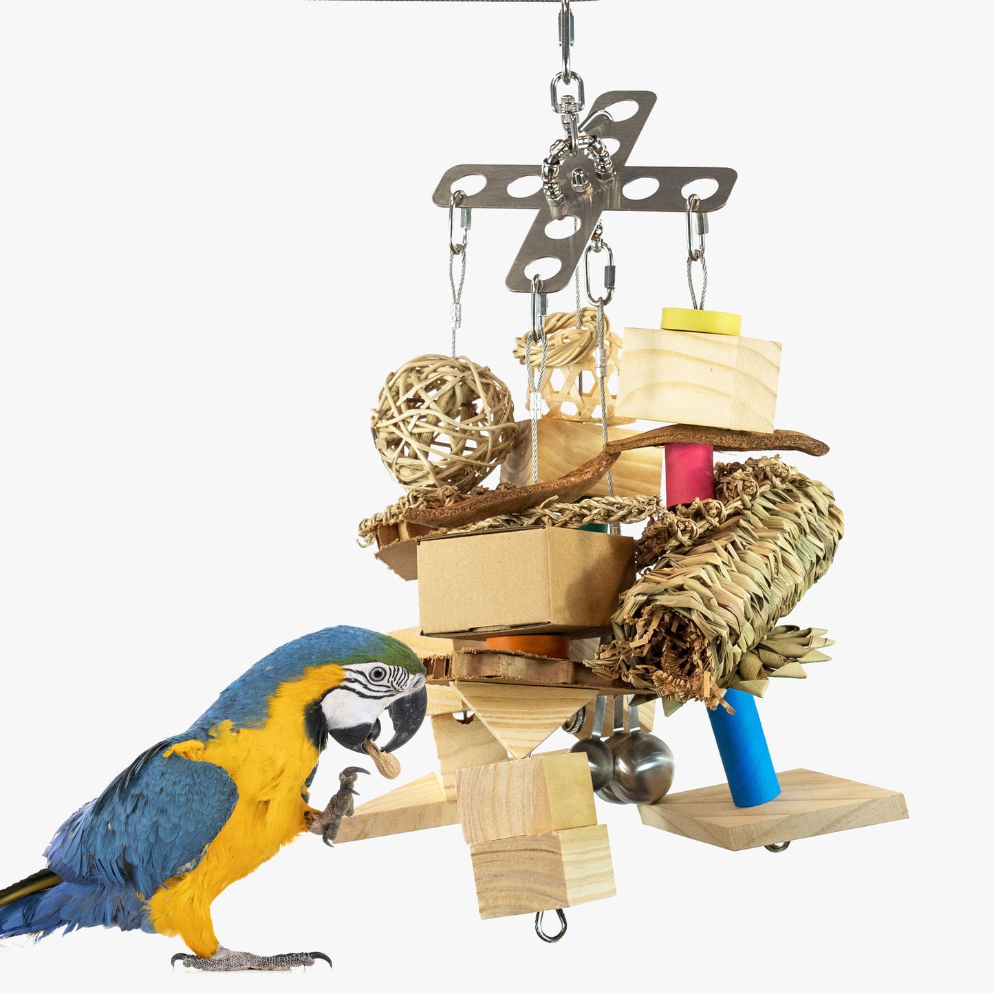 XCalibird - Large