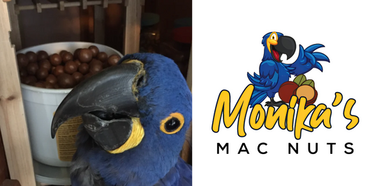 Big Beaks, Rich Soils: Unleashing Instinct with Monika’s Mac Nuts & Beaktivity