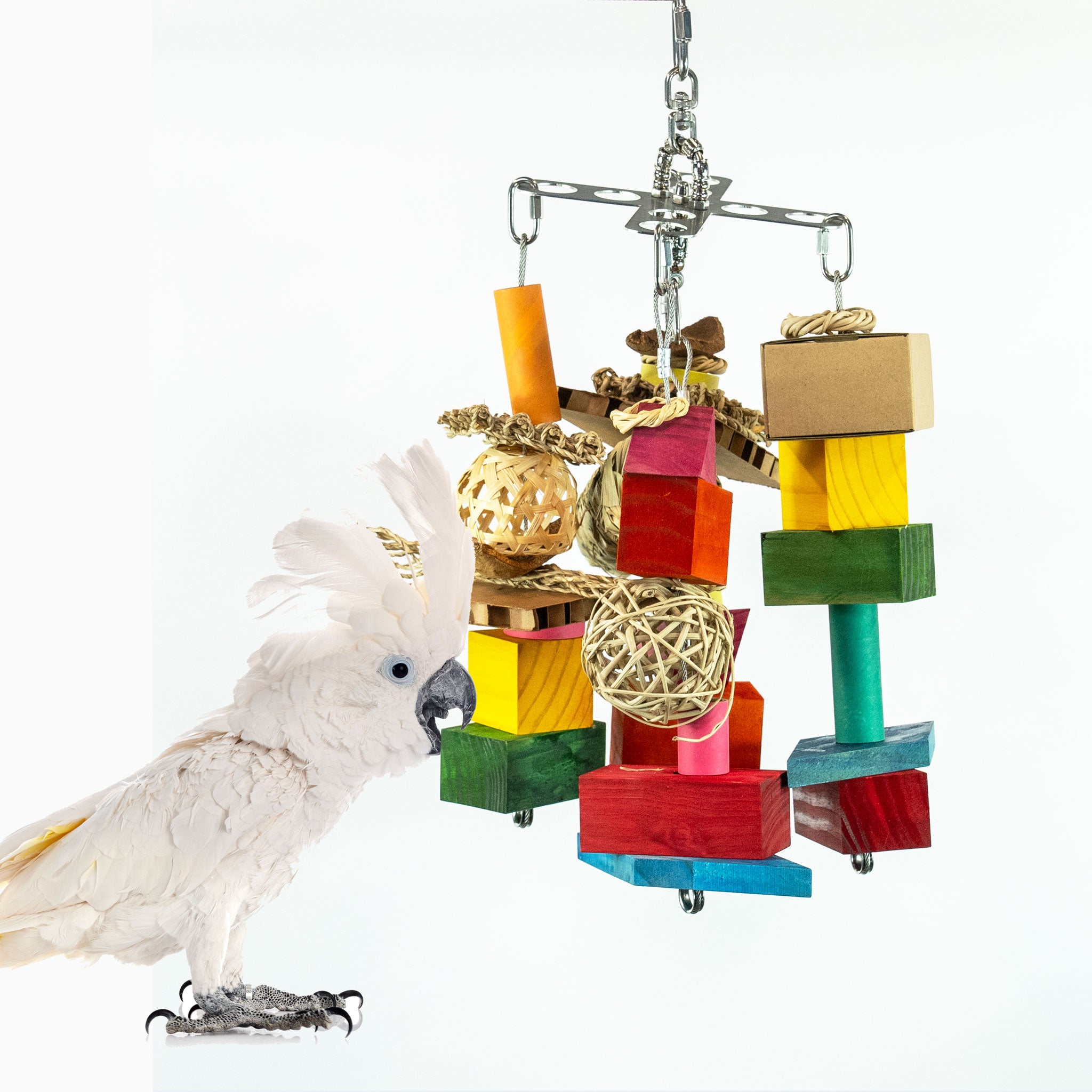 XCalibird - Large – Beaktivity